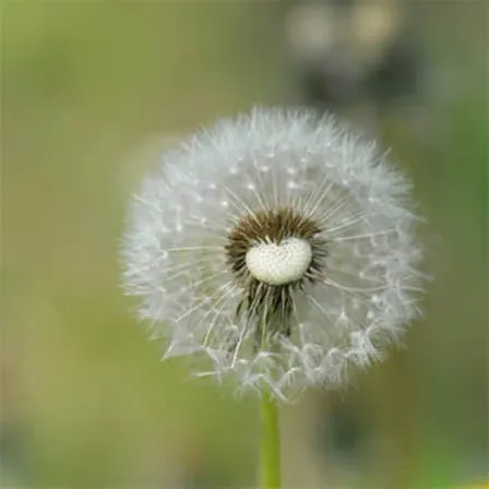 网名简单两个字干净