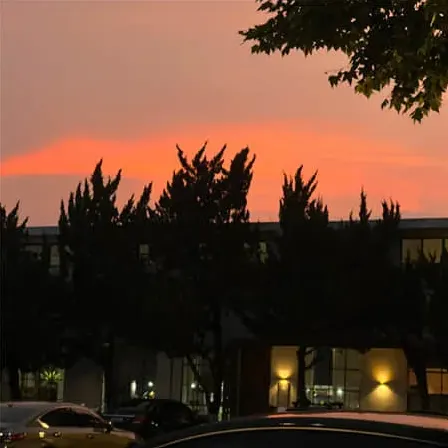 女网名伤感高冷孤独最新