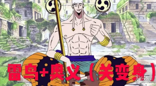 航海王：燃烧意志艾尼路雷鸟流加点教程