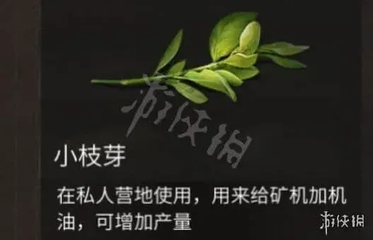 《明日之后》小枝芽获得方法教程