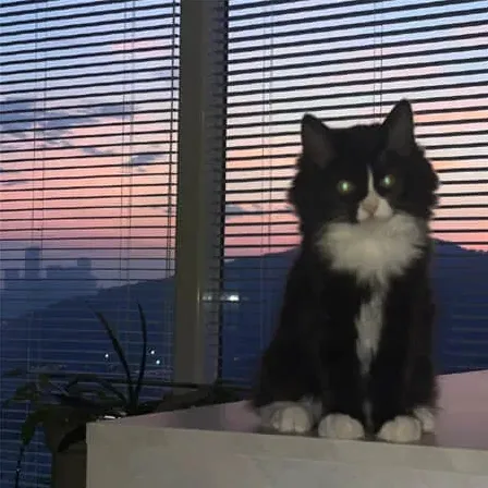 自杀式