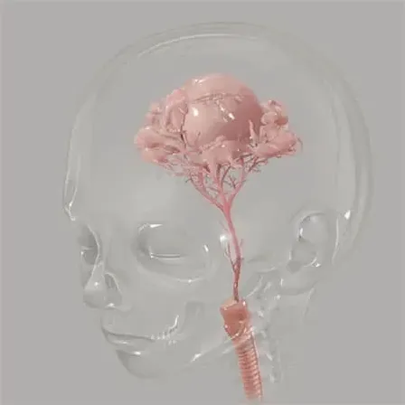 星星