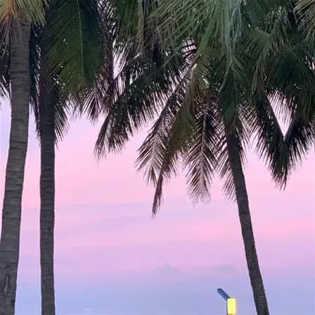 葛小桐