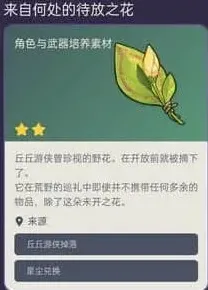 何处之花