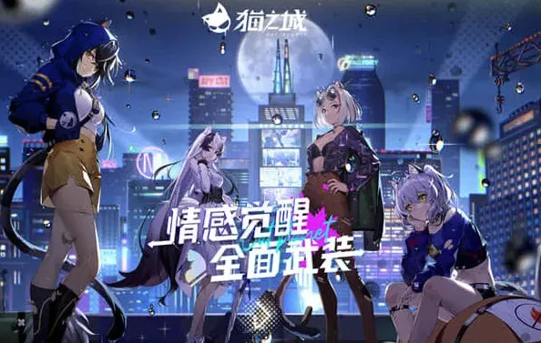 猫之城回合