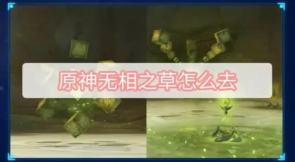 《原神》无相之草位置与玩法详解