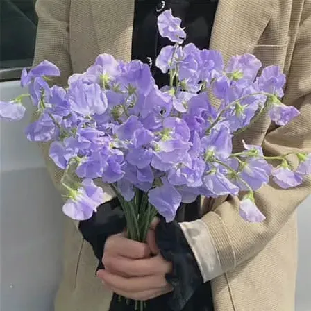 妈妈