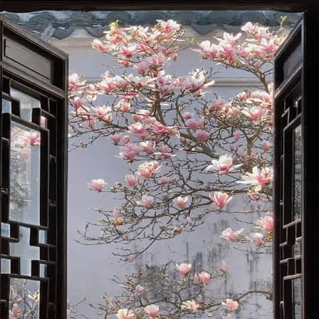芳醚