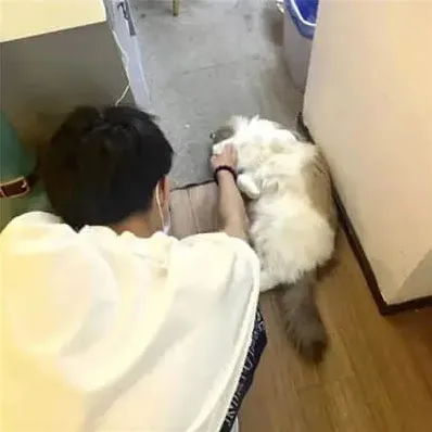栖迟