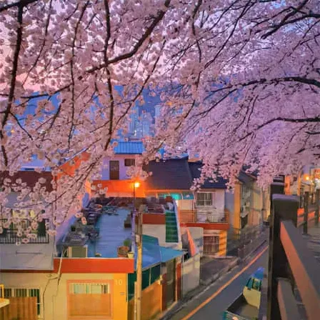 又有