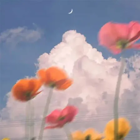甜甜圈