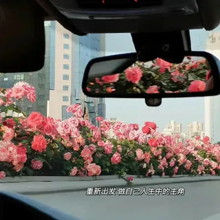 姚姚