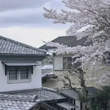红妆