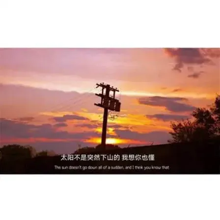 小菲