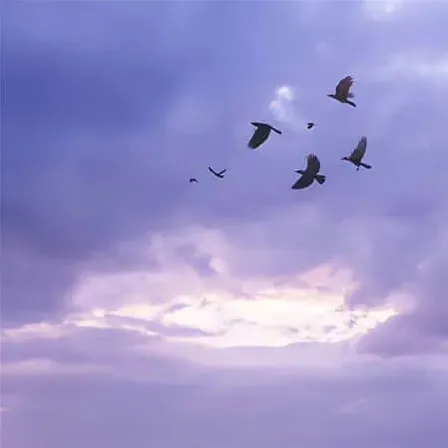 钱途