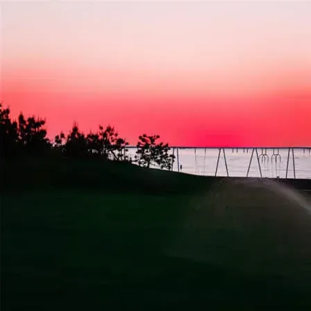 香菜