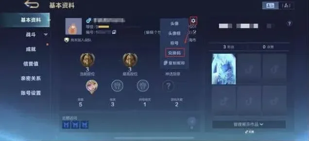 决胜巅峰兑换码