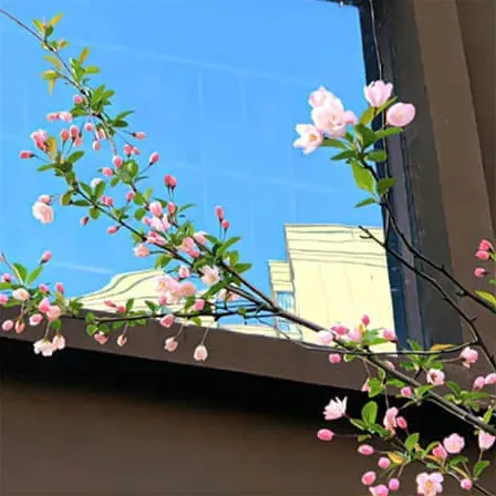 取昵称