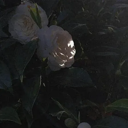 伤感