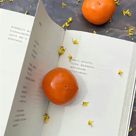 杨光