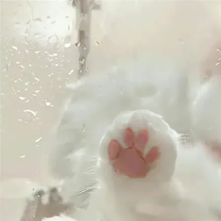 夏屿
