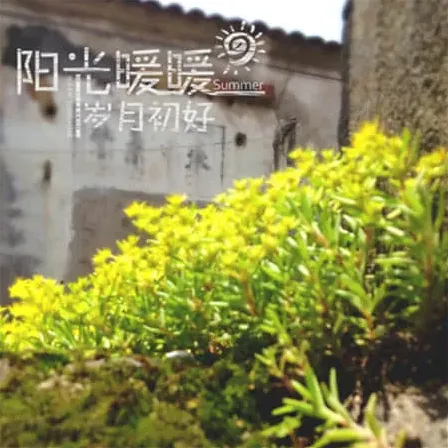 开头的英文