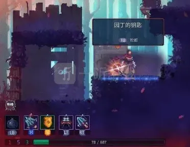 庇护所细胞