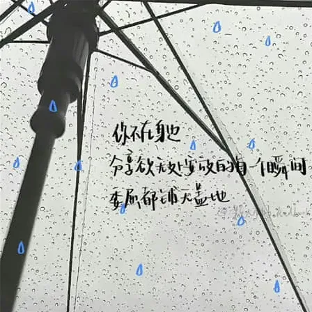 挠挠