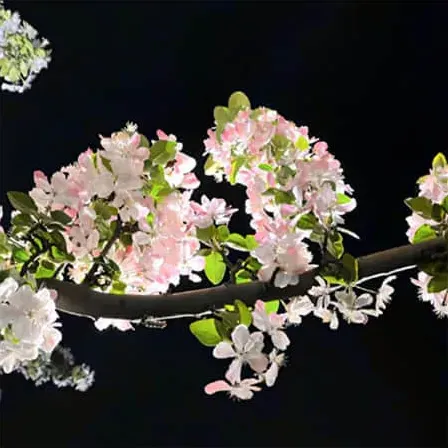 金勺子