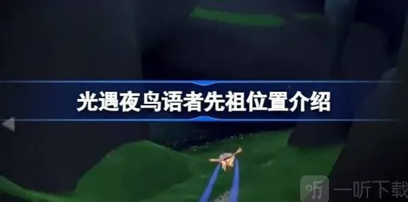 光遇鸟语