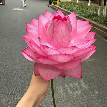 水晶