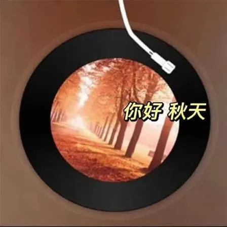 冰晶