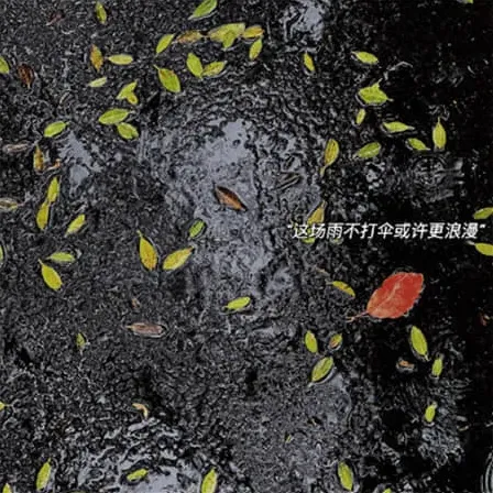 简洁的网名