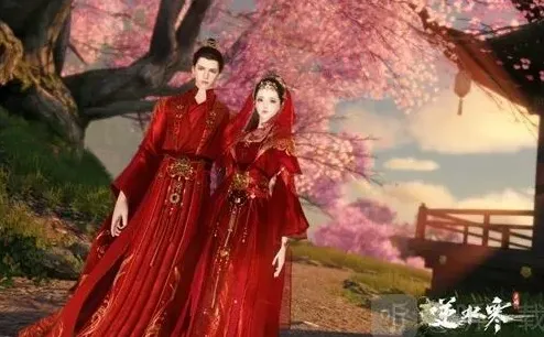 逆水寒结婚条件