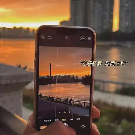 小新