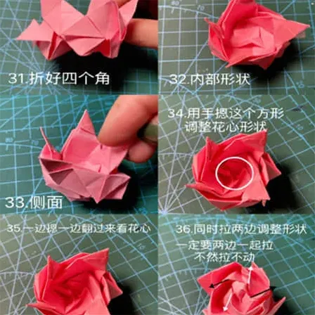 瑶瑶