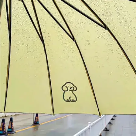 二手车
