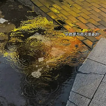 昵称