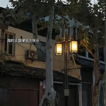 带路