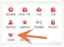 网易云音乐乐迷