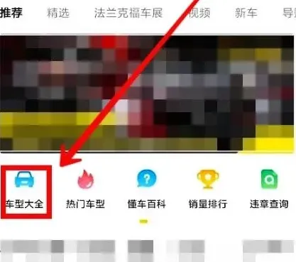 懂车帝车主