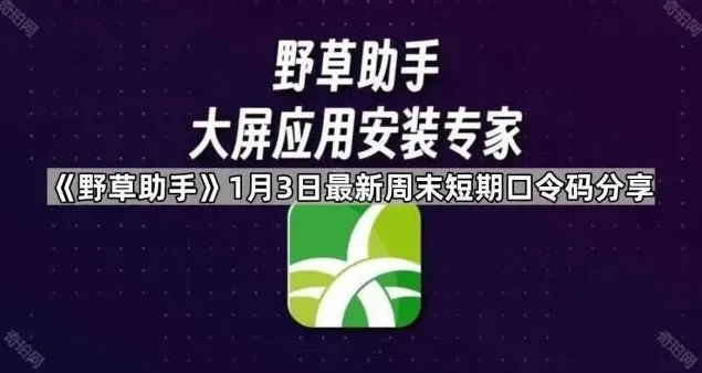夸克野草