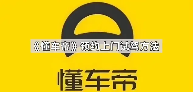 懂车帝试驾