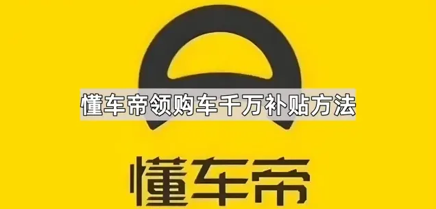 《懂车帝》：领购车千万补贴技巧分享