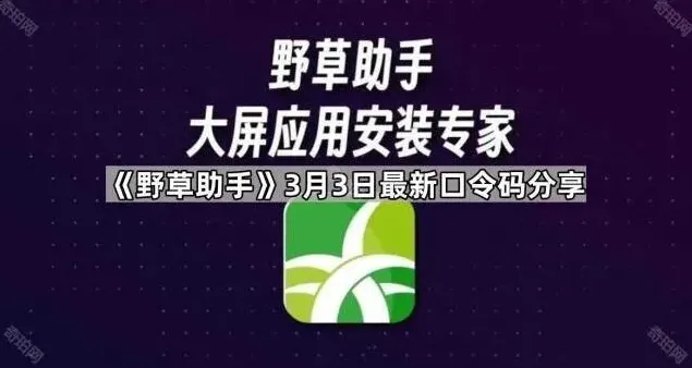 《TA》3月3日口令码分享最全教程
