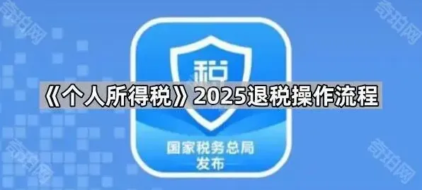《个人所得税》2025退税操作全步骤