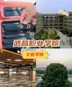 办学