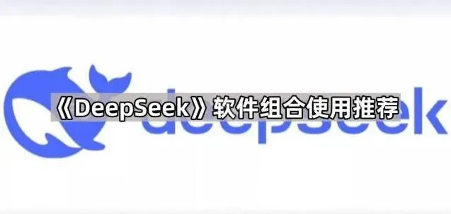 DeepSeek组合