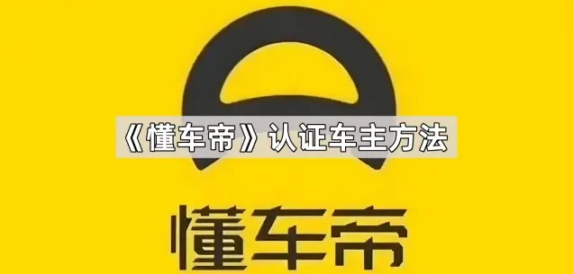 懂车帝车主
