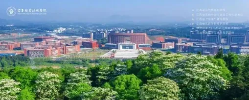 学校